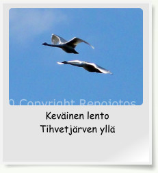 Kev�inen lento  Tihvetj�rven yll�